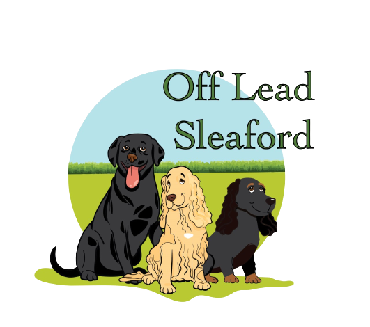 Off Lead Dog Walking | Sleaford