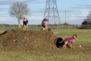 Dogs on the tunnel mound